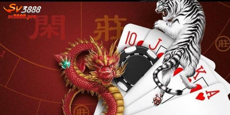 Các tips cược rồng hổ SV388 chắc thắng cho tân thủ